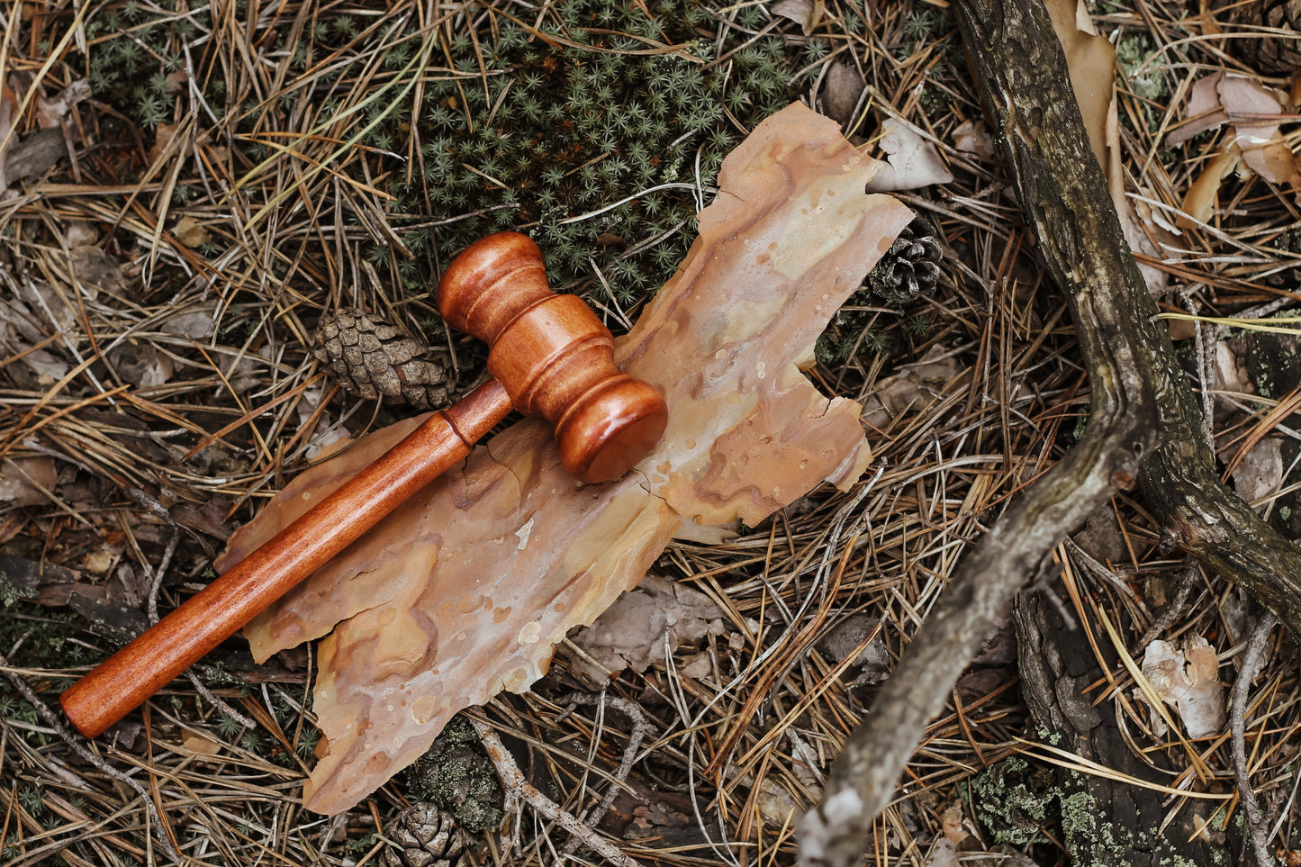 Expert Witness Case Review - Consulting Master Arborist