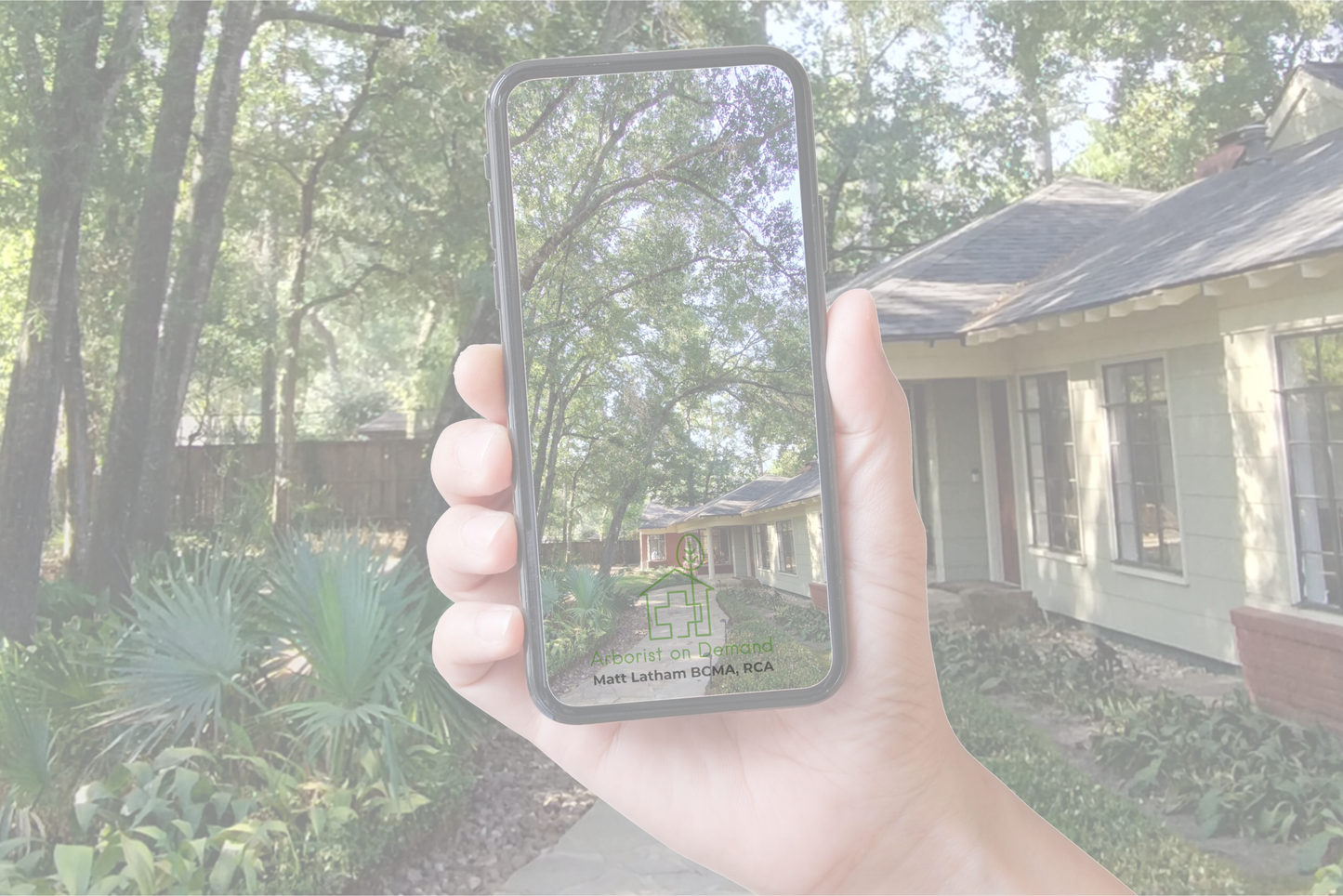 Digital Arborist Tree Consultation – 15 Minute Consultation