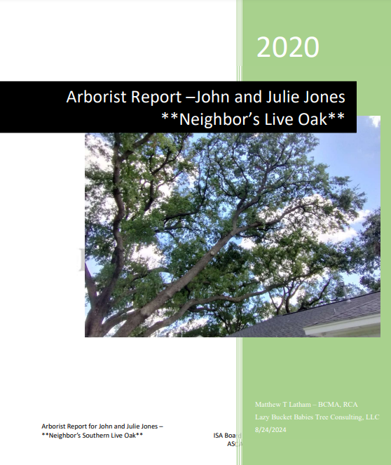 Litigation-Form Arborist Report – Expert-Level Documentation Add-On Service