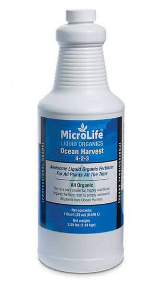 MicroLife Ocean Harvest - QUART