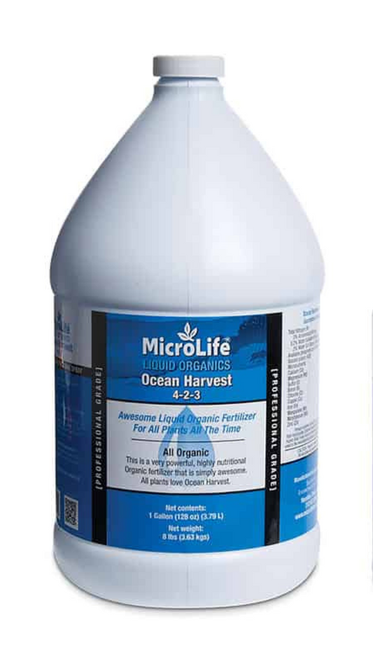 MicroLife Ocean Harvest - GALLON