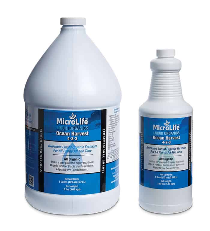 MicroLife Ocean Harvest - GALLON